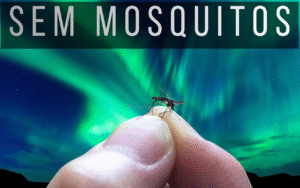 O país onde não existe mosquito
